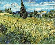 Vincent Van Gogh Green Wheat Field with Cypress France oil painting artist